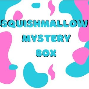 2 Squishmallow Mystery Box